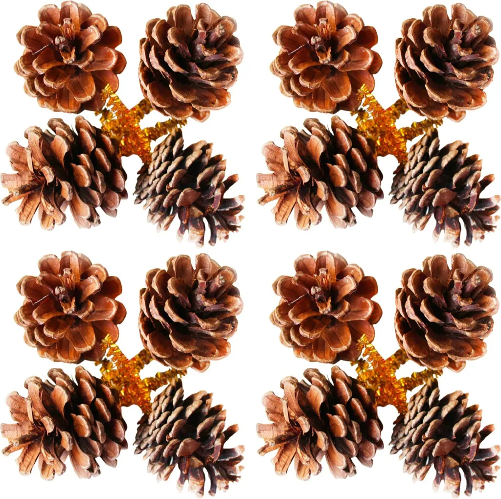 Lot de 16 pommes de pin naturelles 5 cm à suspendre ou poser dans le sapin