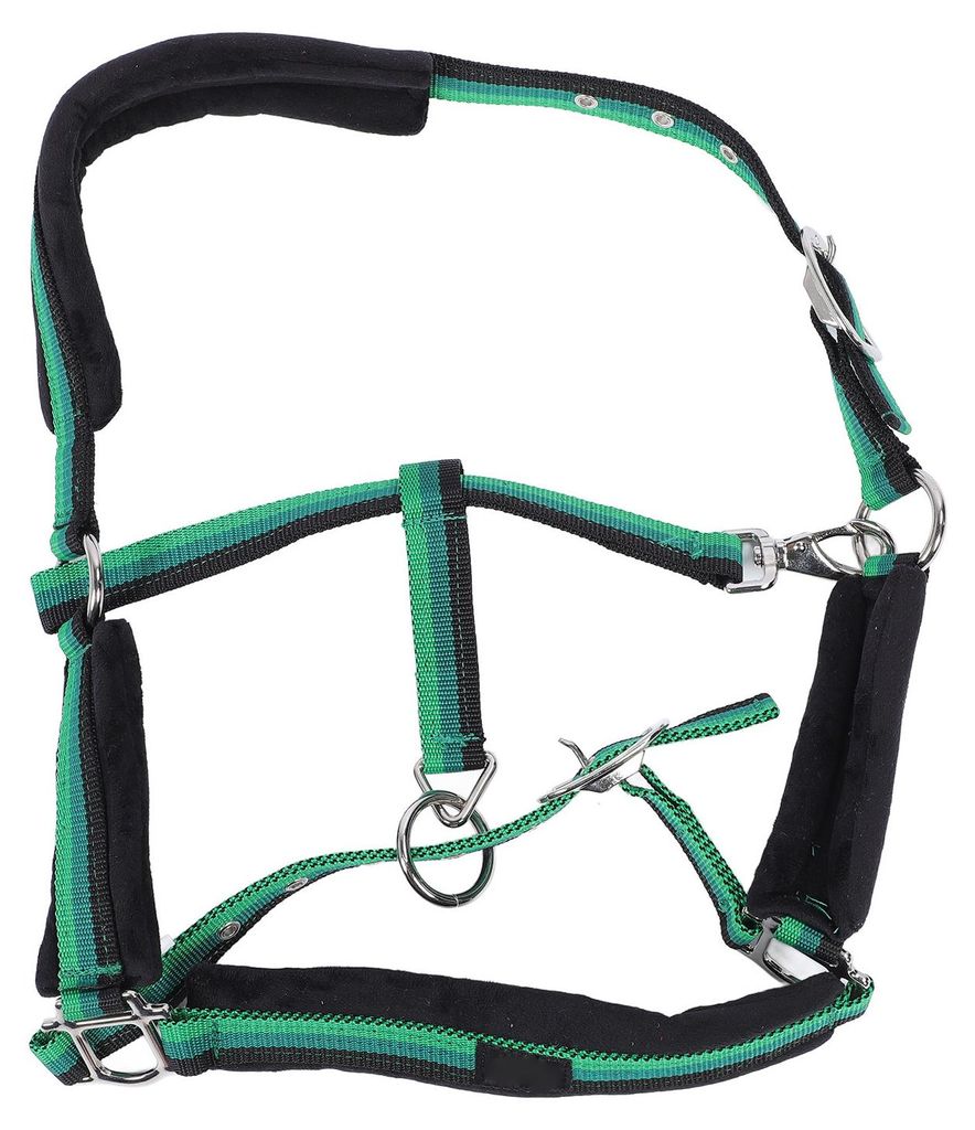 Pferdehalfter, verstellbar, strapazierfähig, mit Nylon gepolstert, reibungsfester Kinn- und Hals-Karabinerhaken für M (passend für 3,6–4,3 Fuß)