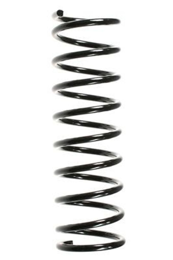 SPIDAN Fahrwerksfeder Hinten für FORD Fiesta Mk4 Schrägheck (JAS, JBS) 49326