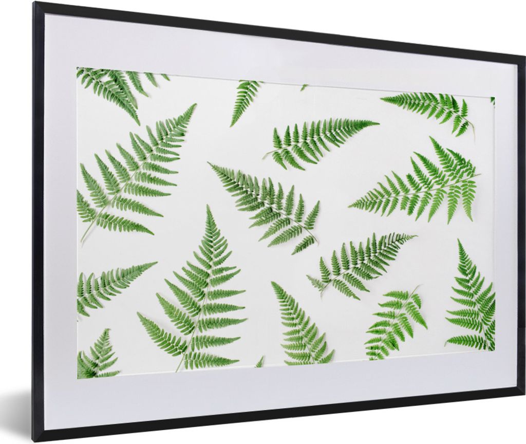 MuchoWow Gerahmtes Poster Tropisch - Farn - Grün 60x40 cm - Poster mit Schwarzem Bilderrahmen Wandposter Rahmen Foto Bilder - Schlafzimmer - Pla...