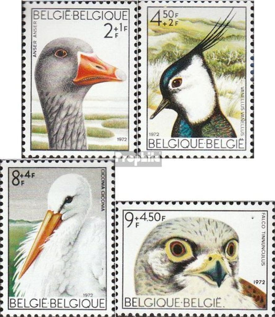 Briefmarken Belgien 1972 Mi 1706-1709 (kompl.Ausg.) postfrisch Vögel aus dem Naturschutzgebiet