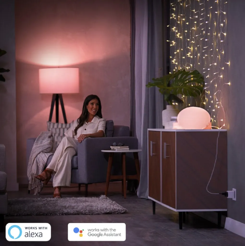 Philips Hue Smart Plug 929003050901 Prise Connectée Zigbee et Bluetooth