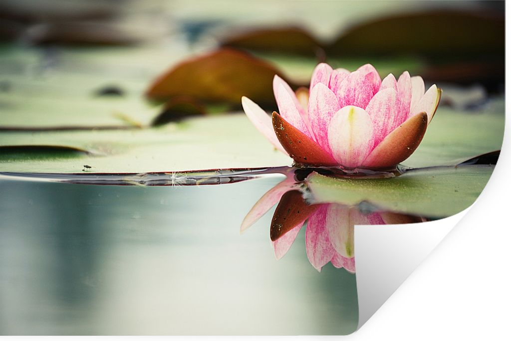 MuchoWow - Wierderverwendbar - Selbstklebend