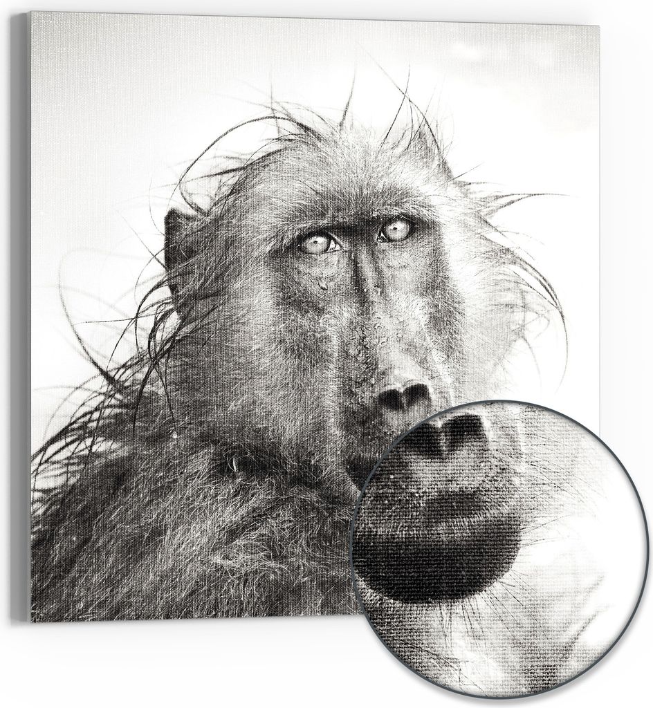 DEQORI Hybrid Leinwand Bild 30x30 cm 'Blick ins Innere' Wandbild Glas flach modern