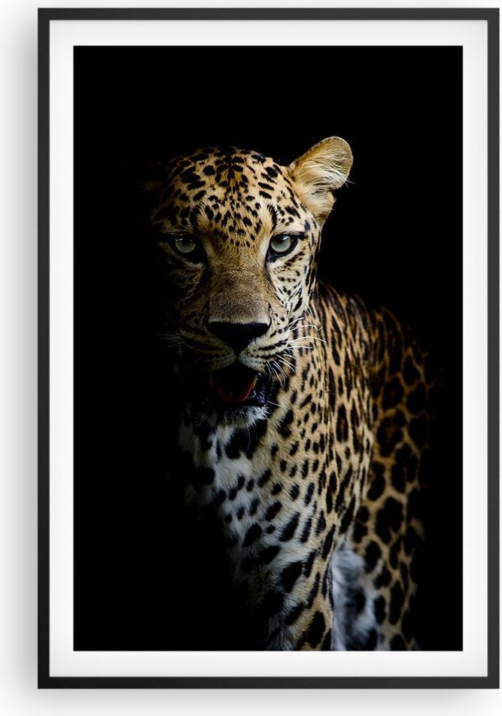 Gerahmtes Poster - Schwarzer Rahmen - Schattig Leopard Panther - 61x91,5 cm - Wand Bild - Wanddeko - Wandbilder - Kunstposter - Wandposter - Bilder...