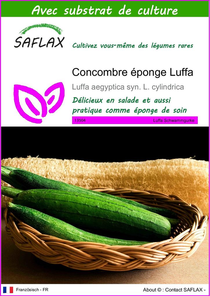 SAFLAX  - Concombre éponge Luffa - 10 graines - Avec Image du produit 