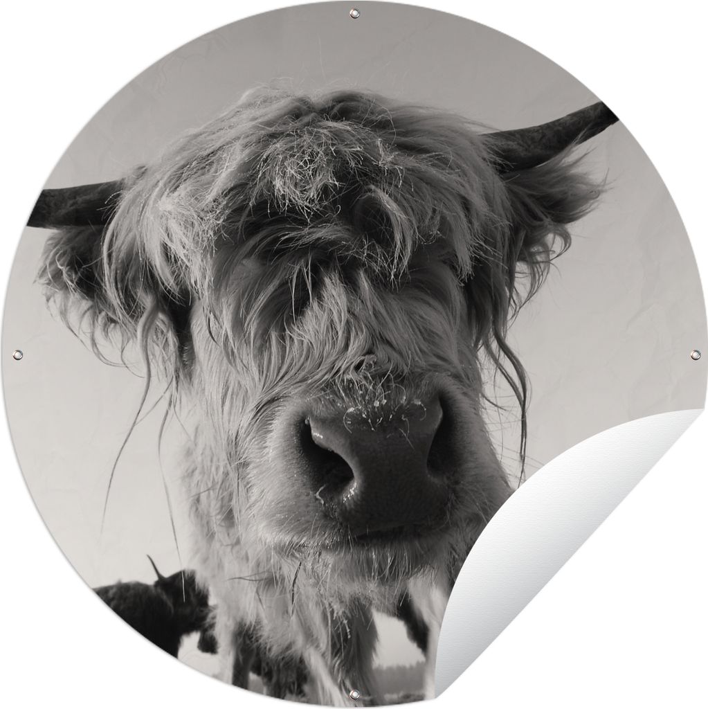 MuchoWow Gartenposter Outdoor-Poster Rund Schottischer Highlander - Schwarz - Weiß - Tiere Ø 150 cm Gartendeko Rundes Poster draußen