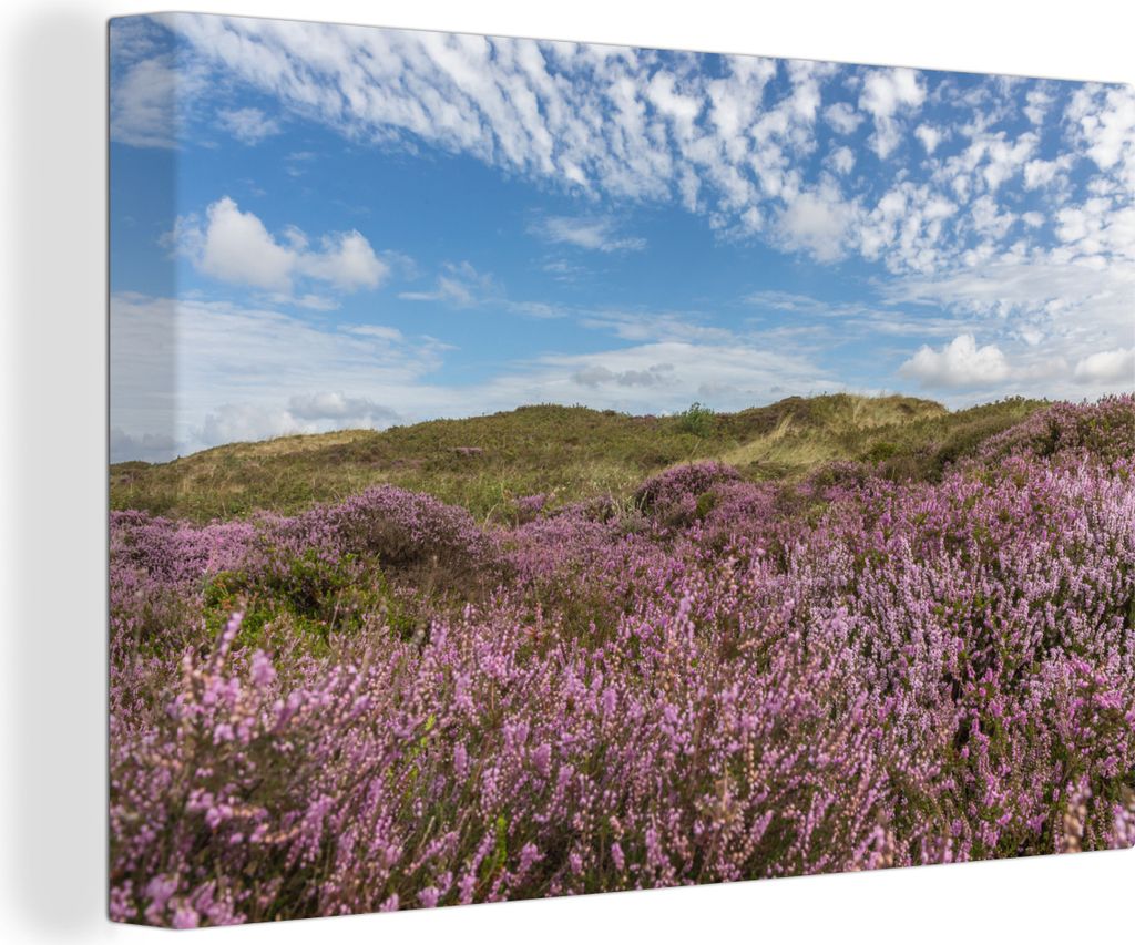 OneMillionCanvasses - Leinwandbilder - 140x90 cm, Düne - Blume - Watteninseln, Wandbilder Kunstdruck Wanddekoration - Foto auf Leinwand - Gemäl...