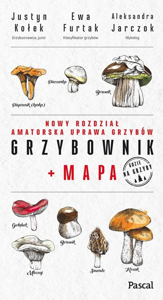 Guide de Mycologie Grzybownik avec Carte de Forêt - Edition Polonaise