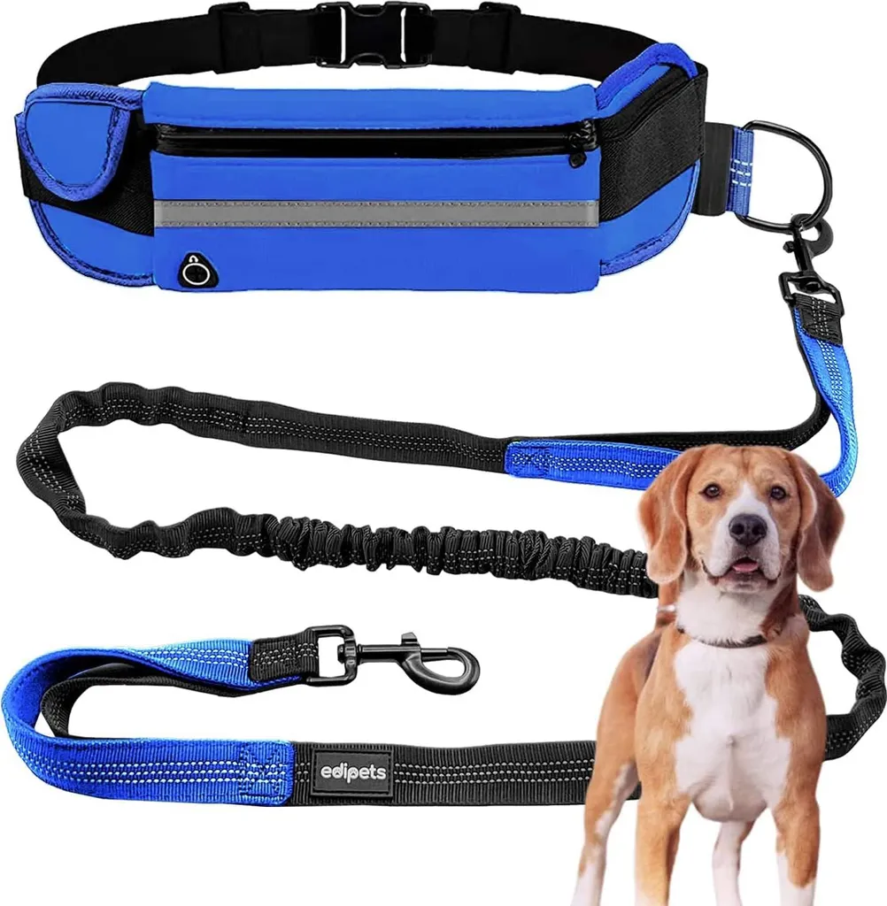 Laisse extensible Handsfree 160-220 cm pour téléphone portable - Bleu
