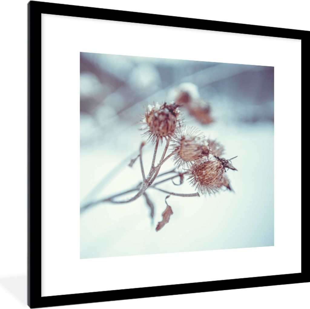 MuchoWow® Gerahmtes Poster Pflanzen - Winter - Schnee - Produktbild 