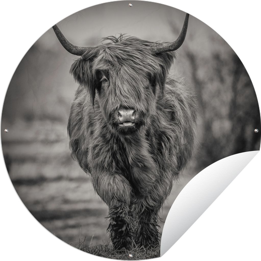 MuchoWow Gartenposter Outdoor-Poster Rund Schottischer Highlander - Schwarz und Weiß Ø 60 cm Gartendeko Rundes Poster draußen