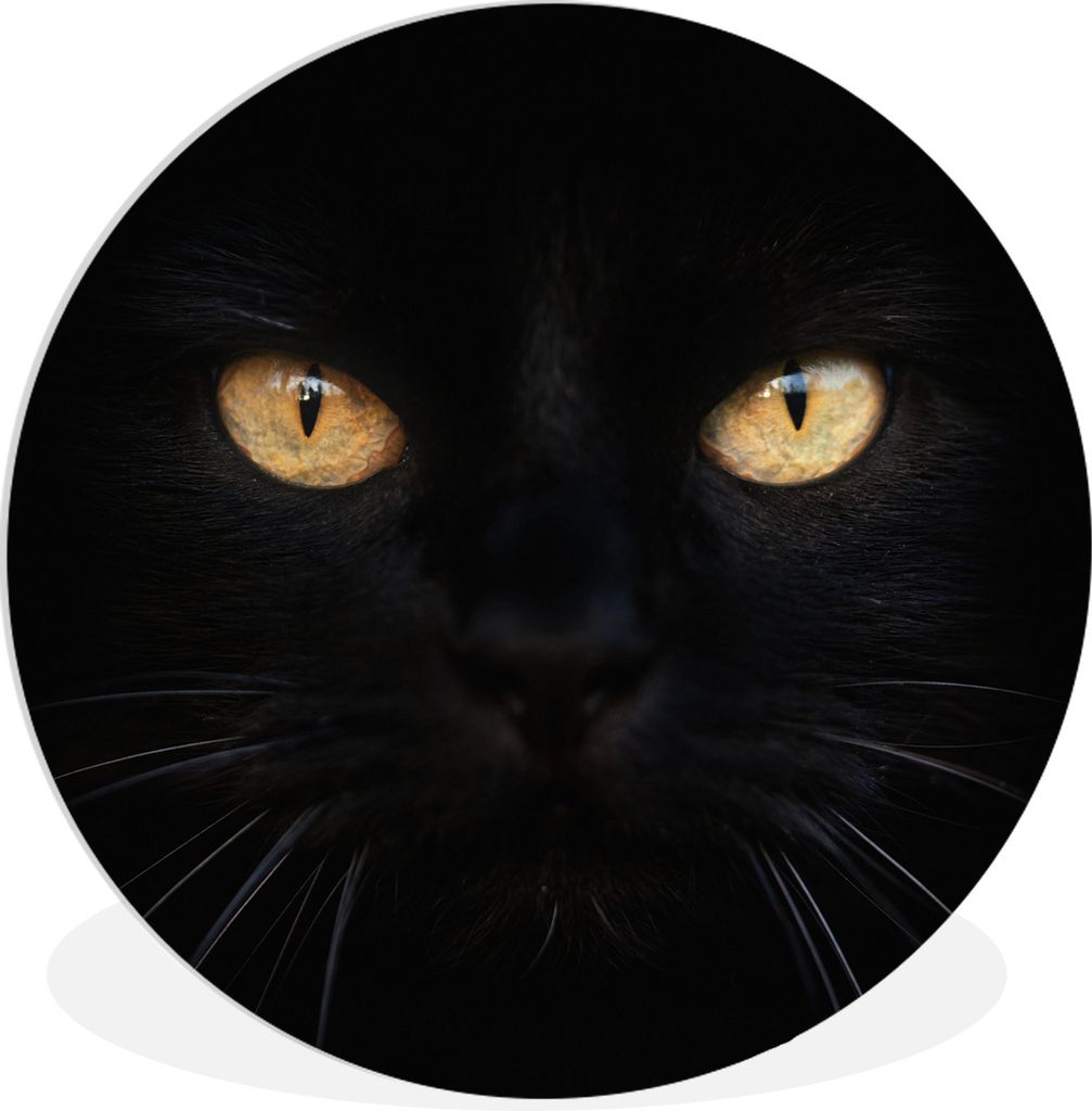 MuchoWow Rundes Wandbild - Runde Bilder Nahaufnahme einer schwarzen Katze Ø 90 cm Kreis Wanddekoration Kunststoff - Wandkreis - Wandschmuck - Wa...