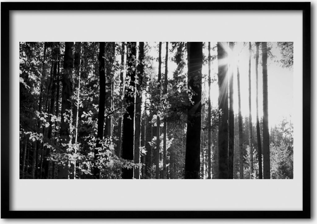 Bild 100x70 MDF-Rahmen Wandkunst Natur Wald Bäume