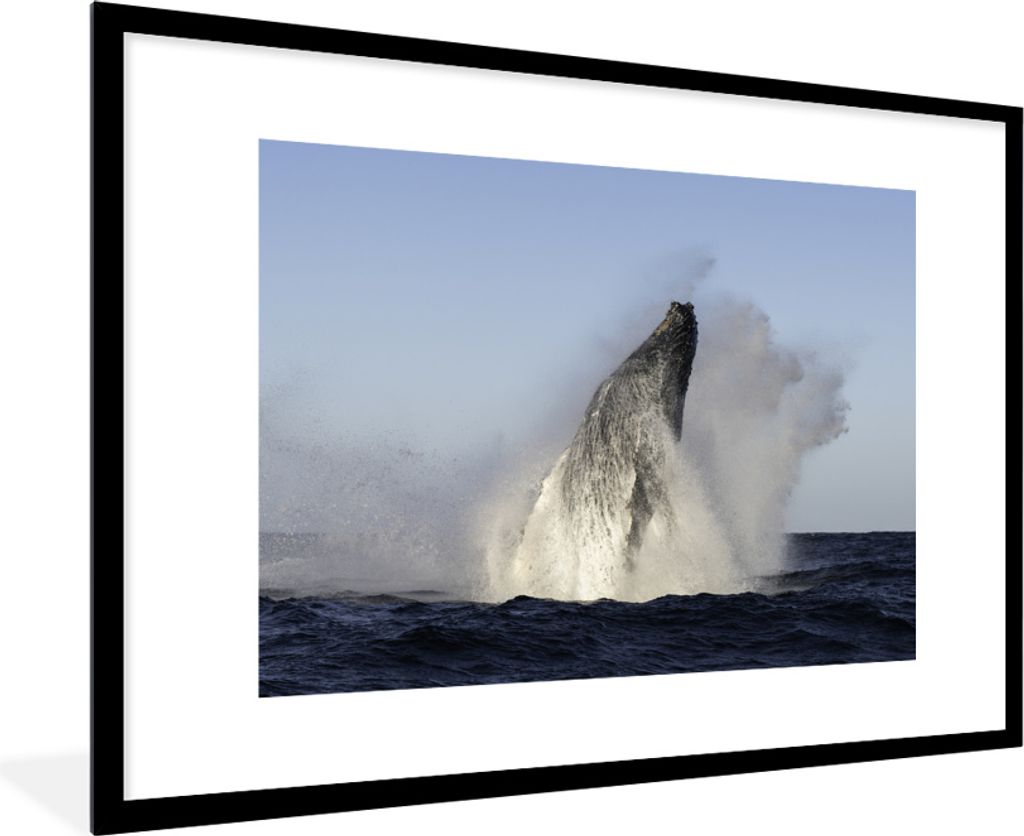 MuchoWow MuchoWow Gerahmtes Poster Wal - Wasser - Südafrika 90x60 cm - Poster mit zchwarzem Bilderrahmen - Wanddekoration - Fotos