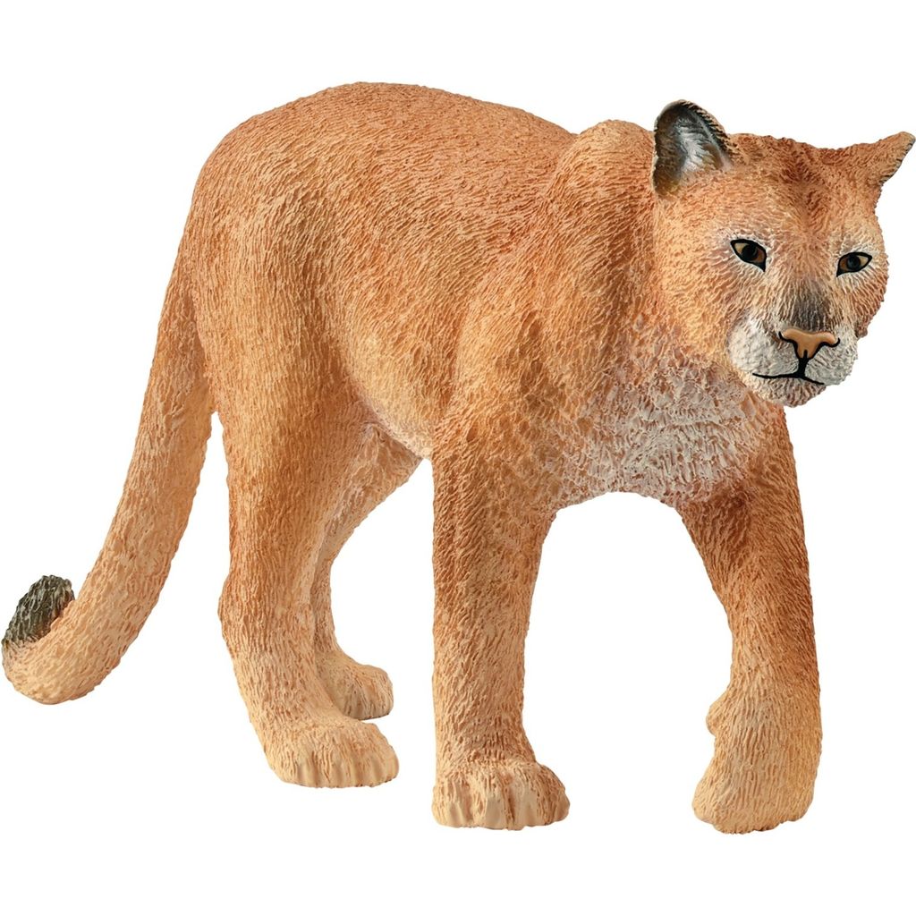 schleich WILD LIFE 14853, 3 Jahr(e), Forest, Wild animals / adventure toys, Braun, Kunststoff