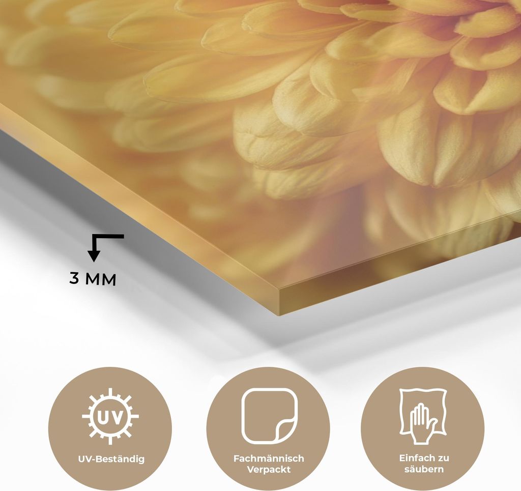 MuchoWow Glasbilder - Bilder auf Wandbild - Foto auf Glas Gelb - Chrysantheme - Sanftheit 40x30 cm Wanddekoration aus Glas - Acrylglasbild - Acrylb...