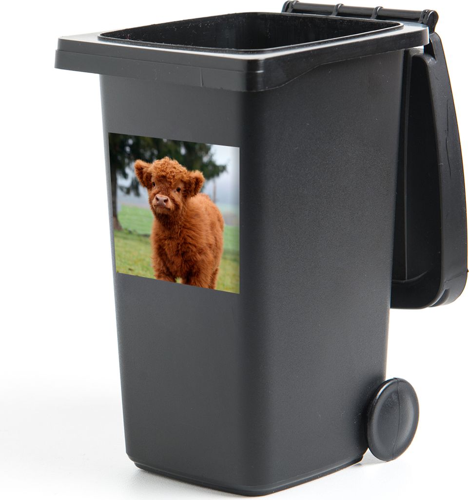 MuchoWow Mülltonnenaufkleber Scottish Highlander - Kalb - Gras 40x40 cm - Abfall-Aufkleber - Container - für Abfallcontainer