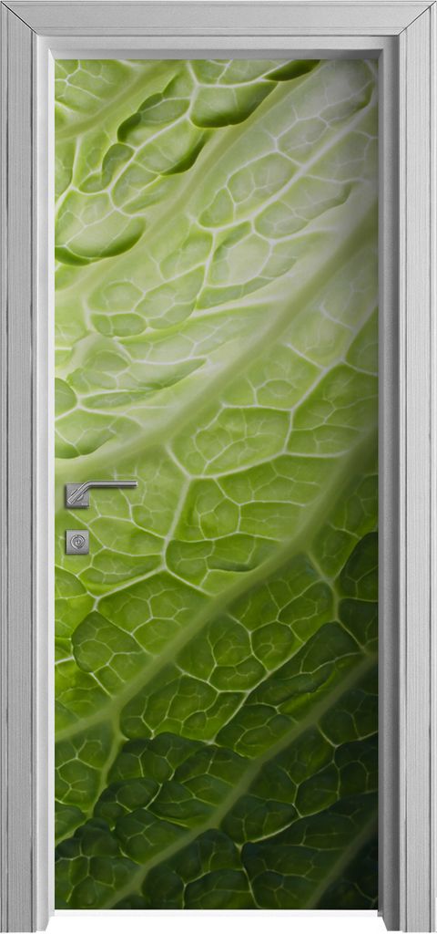 Tür Selbstklebende 80x210 cm Türfolie Türtapete Klebefolie - einzelnes Gemüseblatt
