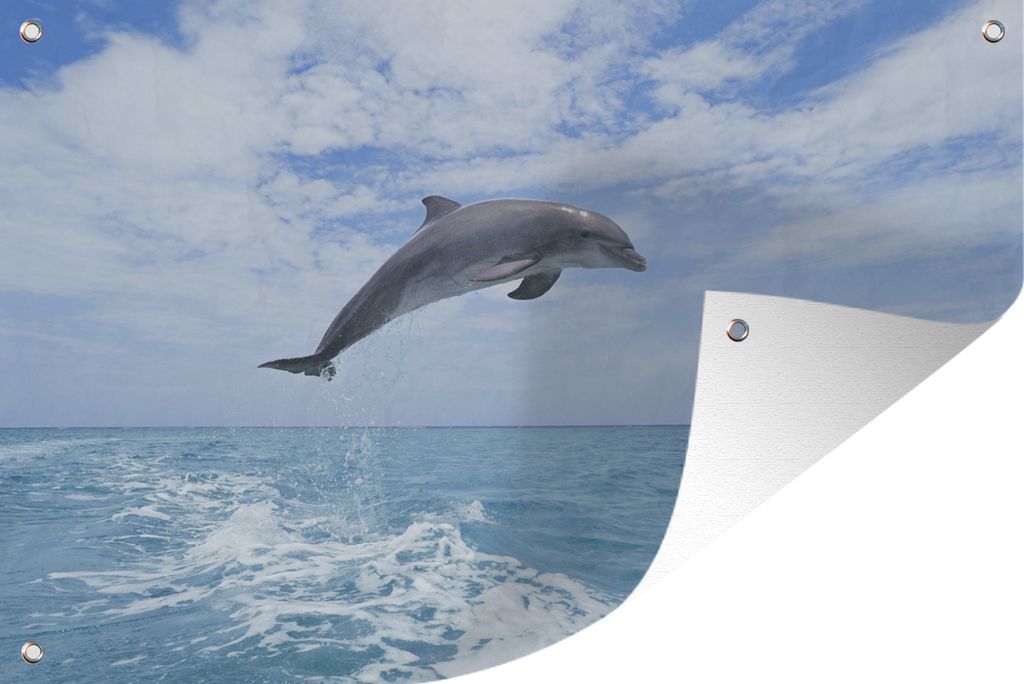 MuchoWow 60x40 cm Outdoor-Poster Gartendeko Sichtschutz Garten Poster für den Garten Delfin - Meer - Himmel
