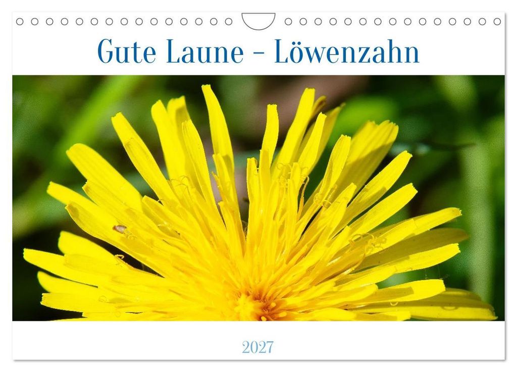 Gute Laune - Löwenzahn (Wandkalender 2027 DIN A4 quer), CALVENDO Monatskalender