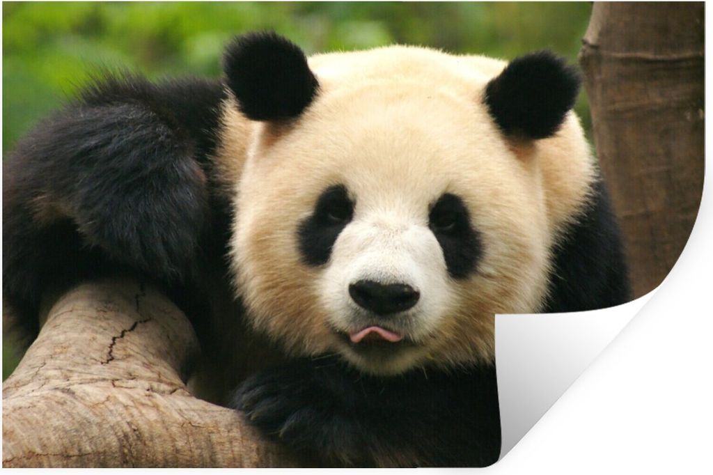 MuchoWow - Aufkleber