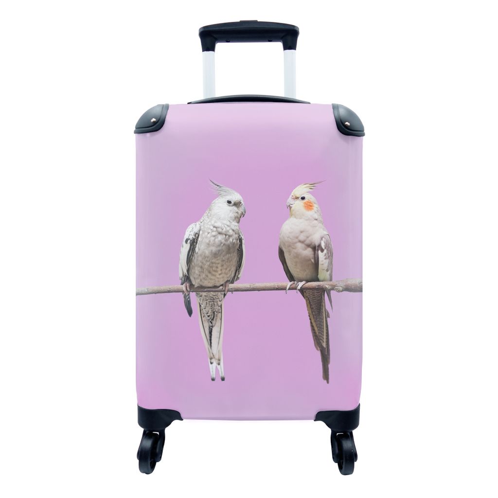 MuchoWow Koffer Handgepäck Trolley Rollkoffer Kleine Reisekoffer mit 4 Rollen - Falken - Cabin Size < 55x40x23 cm & 55x40x20 cm - Fotokoffer - K...