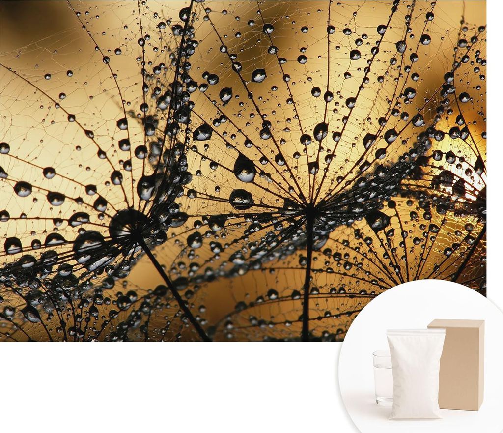 Fototapete - Wandbilder für Wohnzimmer - 208x146 cm - Dekorative Wandfolie - Modernes Design für Wanddekoration - Tapeten für Innenräume - Zart...