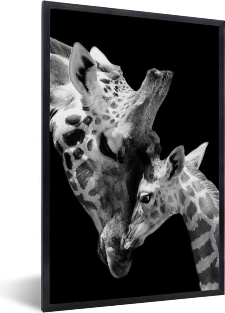 MuchoWow Gerahmtes Poster Giraffe - Wildtiere - Porträt - Schwarz-Weiß 40x60 cm - Poster mit Schwarzem Bilderrahmen Wandposter Rahmen Foto Bild...