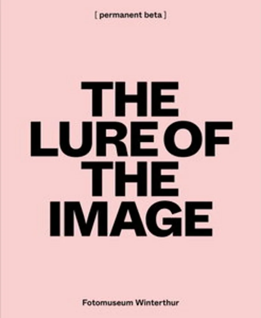 Livre de Référence pour Études en Arts Visuels : The Lure of the Image