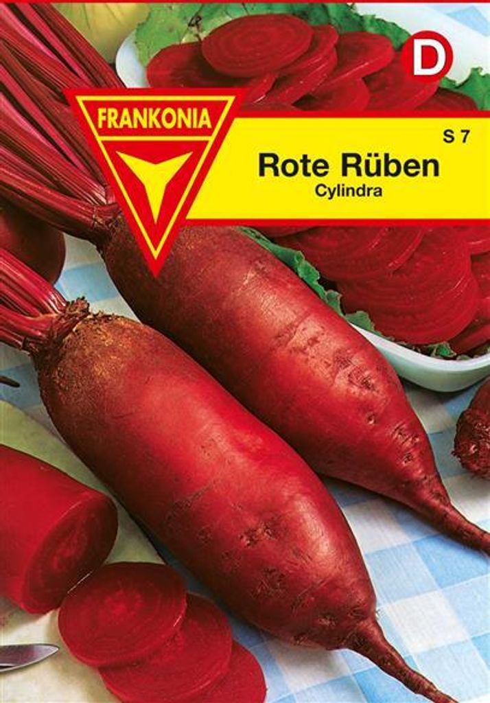 Rote Rüben Cylindra