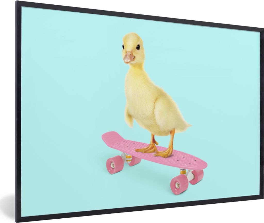 MuchoWow Gerahmtes Poster Ente - Küken - Skateboard - Blau - Rosa 90x60 cm - Poster mit Schwarzem Bilderrahmen Wandposter Rahmen Foto Bilder - F...