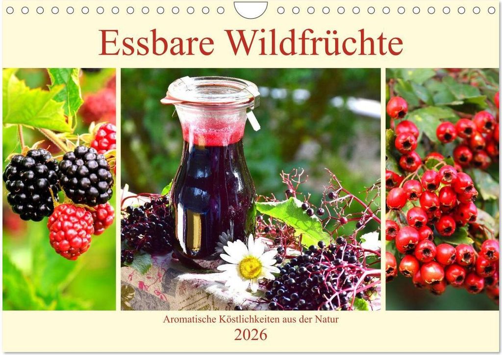 Essbare Wildfrüchte. Aromatische Köstlichkeiten aus der Natur (Wandkalender 2026 DIN A4 quer), CALVENDO Monatskalender
