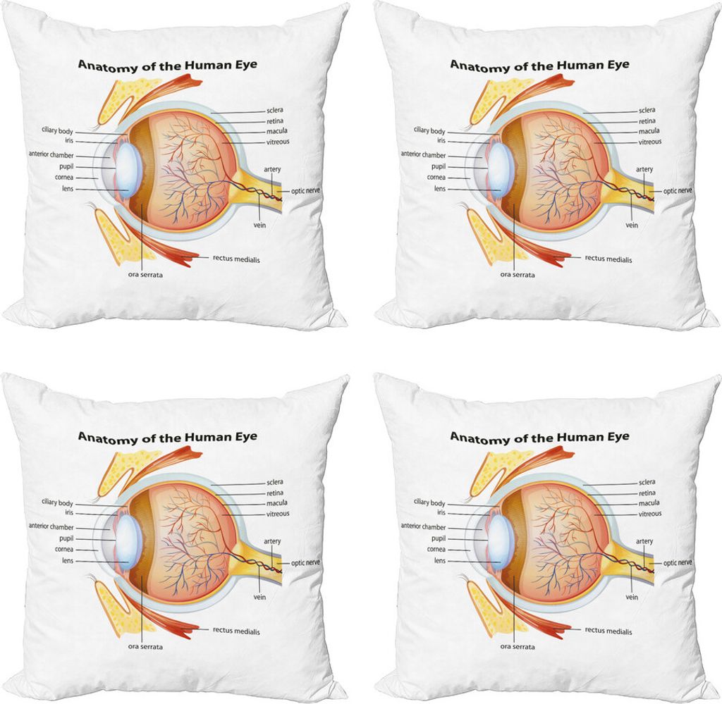 ABAKUHAUS Lehrreich Kissenbezug Set (4 Stück), Eye Cornea Schüler, Moderner Doppelseitiger Digitaldruck, 40 cm x 40 cm, Coral Senf Baby Blue