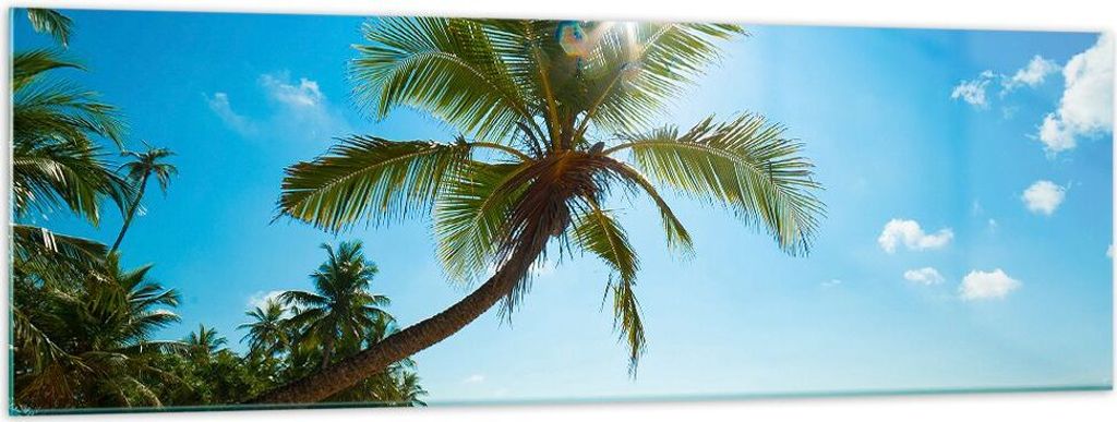 Bilder auf glas - Strand Palme Meer - 160x50cm - Glasbilder - Wandbilder - Kunstdruck - zum Aufhängen bereit - Wanddekoration aus Glas - Glas Bild...