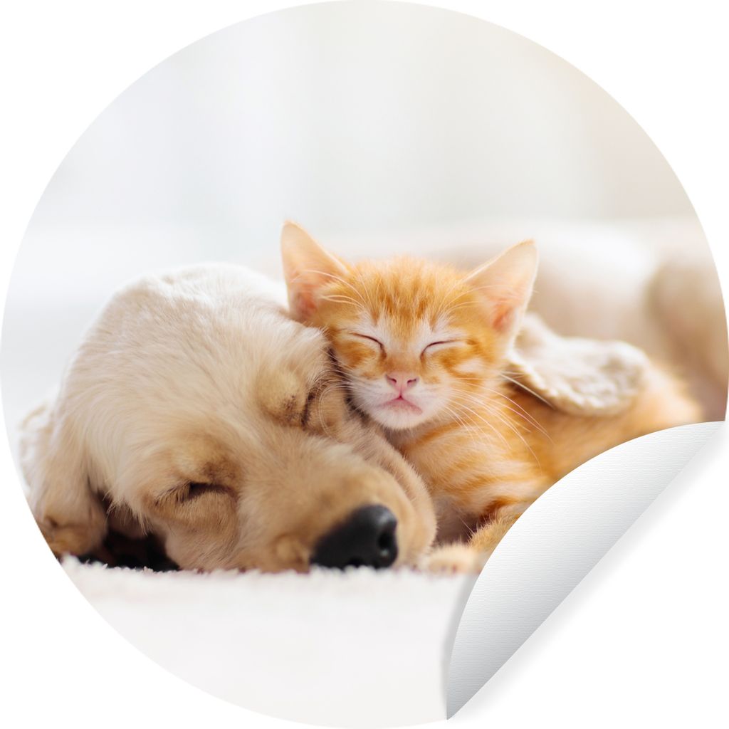 MuchoWow Runde Wandtattoo - Wandsticker Tapete Aufkleber Tiere - Hund - Kätzchen - Rot Ø 50 cm Selbstklebend und Repositionierbar - Wandaufkleb...