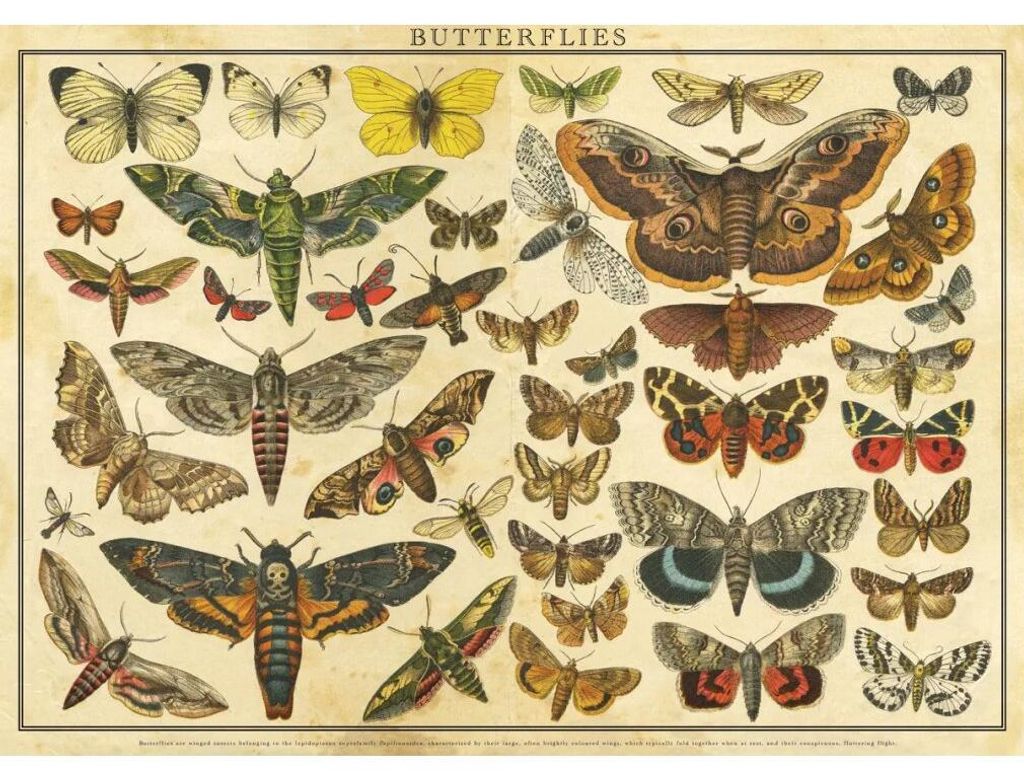 INTERDRUK Puzzle Vintage Nature: Motli 2000 dlks