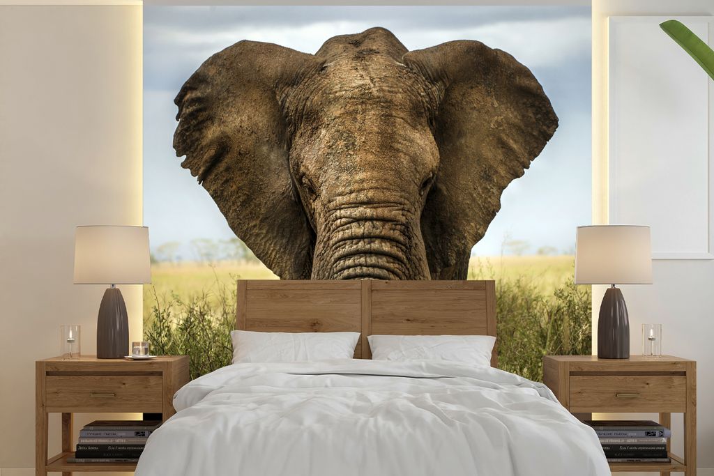 MuchoWow Fototapete für Wohnzimmer oder Schlafzimmer Wandtapete Vinyl Motivtapete Elefant - Natur - Gras - Tiere - Landschaft - 240x240 cm - Sch...