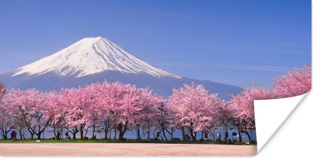 MuchoWow Poster Fuji in Asien mit Kirschblüten im Vordergrund 80x40 cm - Wanddeko