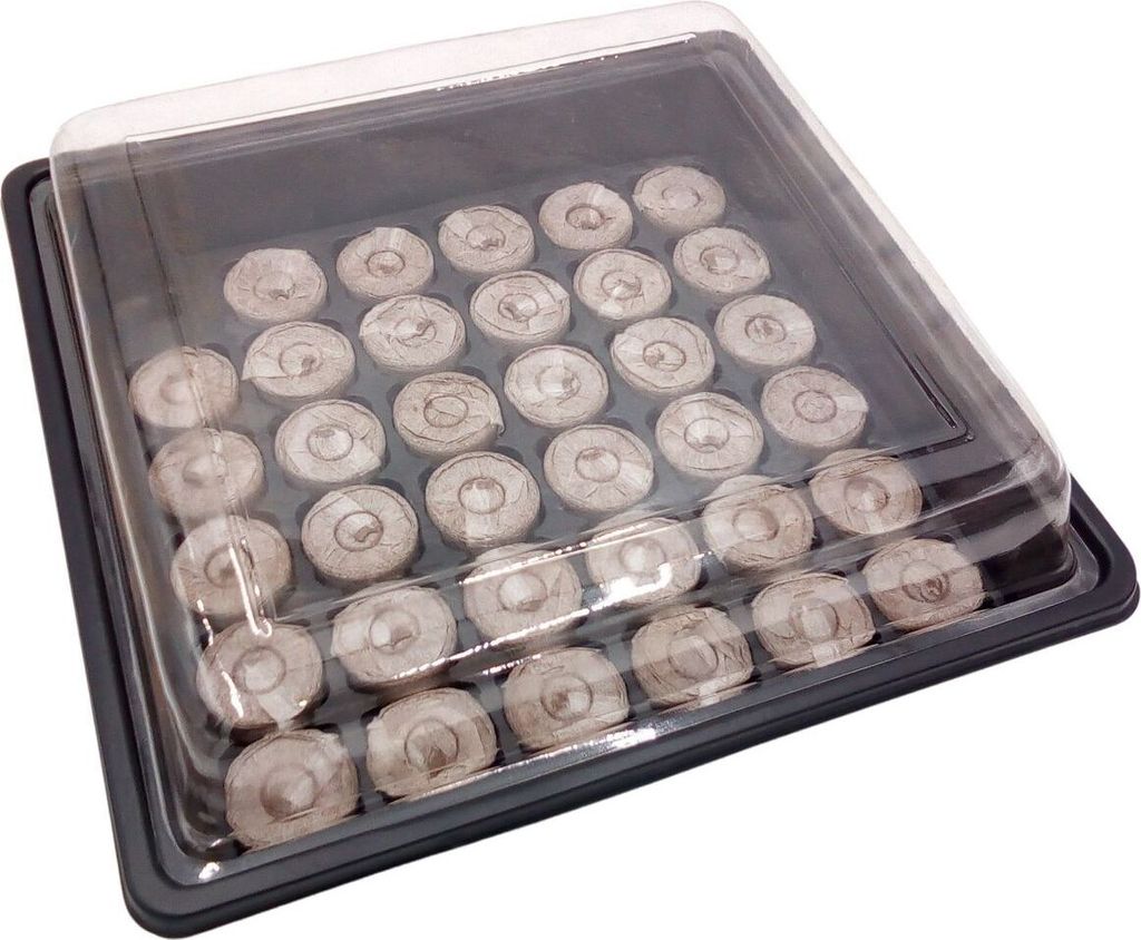 BURI Anzucht-Set Mini Gewächshaus mit 35 Quelltabs Treibhaus Anzuchtschale Frühbeet