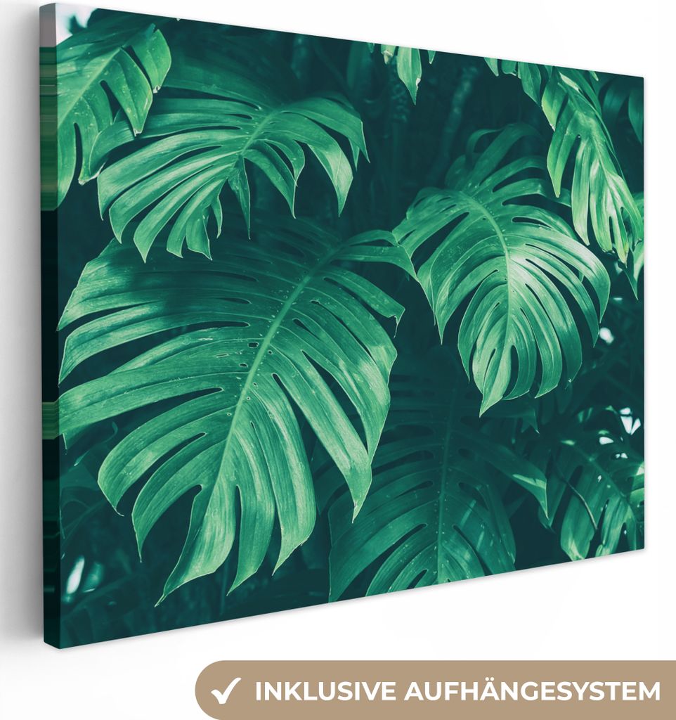 MuchoWow - Leinwandbilder - Monstera - Blätter - Pflanzen - Dschungel - Natur, Wandbild, Wanddeko Bilder Wohnzimmer, 80x60 cm