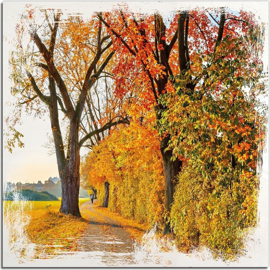 Kunstdrucke Wandbilder Holz in : Brillante Farben, Größe 50 x 50 cm Motiv Herbstlicher Waldweg mit buntem Laub