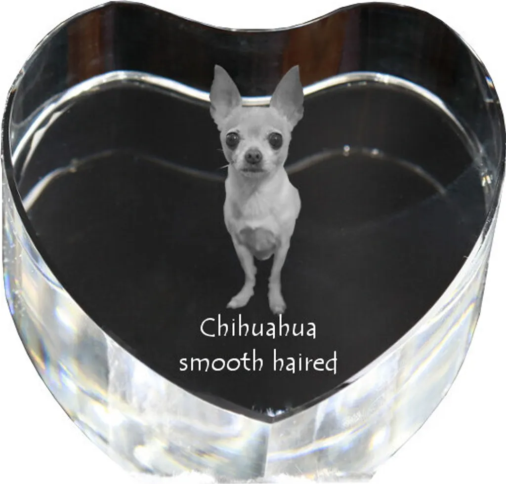 Décoration Chihuahua à poil long dans un cristal en forme de cœur chic