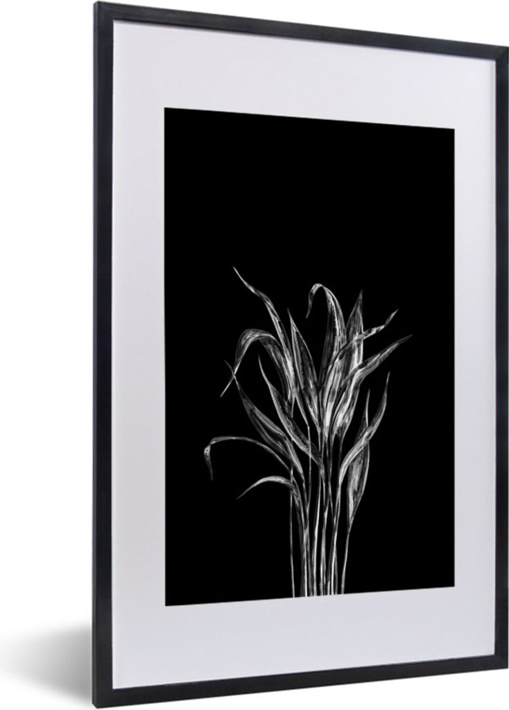 MuchoWow Gerahmtes Poster Lange dünne Blätter auf schwarzem Hintergrund - schwarz und weiß 40x60 cm - Poster mit Schwarzem Bilderrahmen Wandpo...