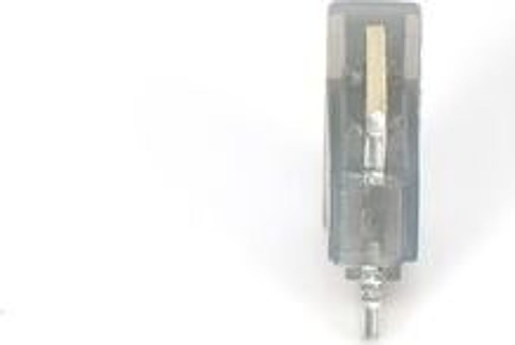 BOSCH Sicherung 1 987 529 041