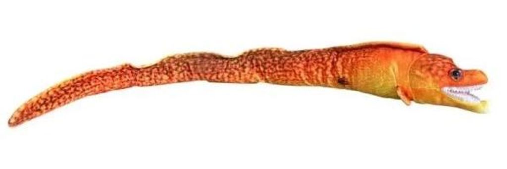Murenka oranžová 80 cm – Dubi Obrázek produktu 