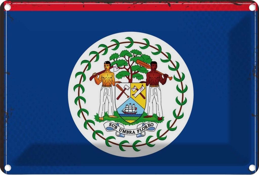 vianmo Blechschild 20x30 cm Belizes Belize Flagge Fahne Wappen