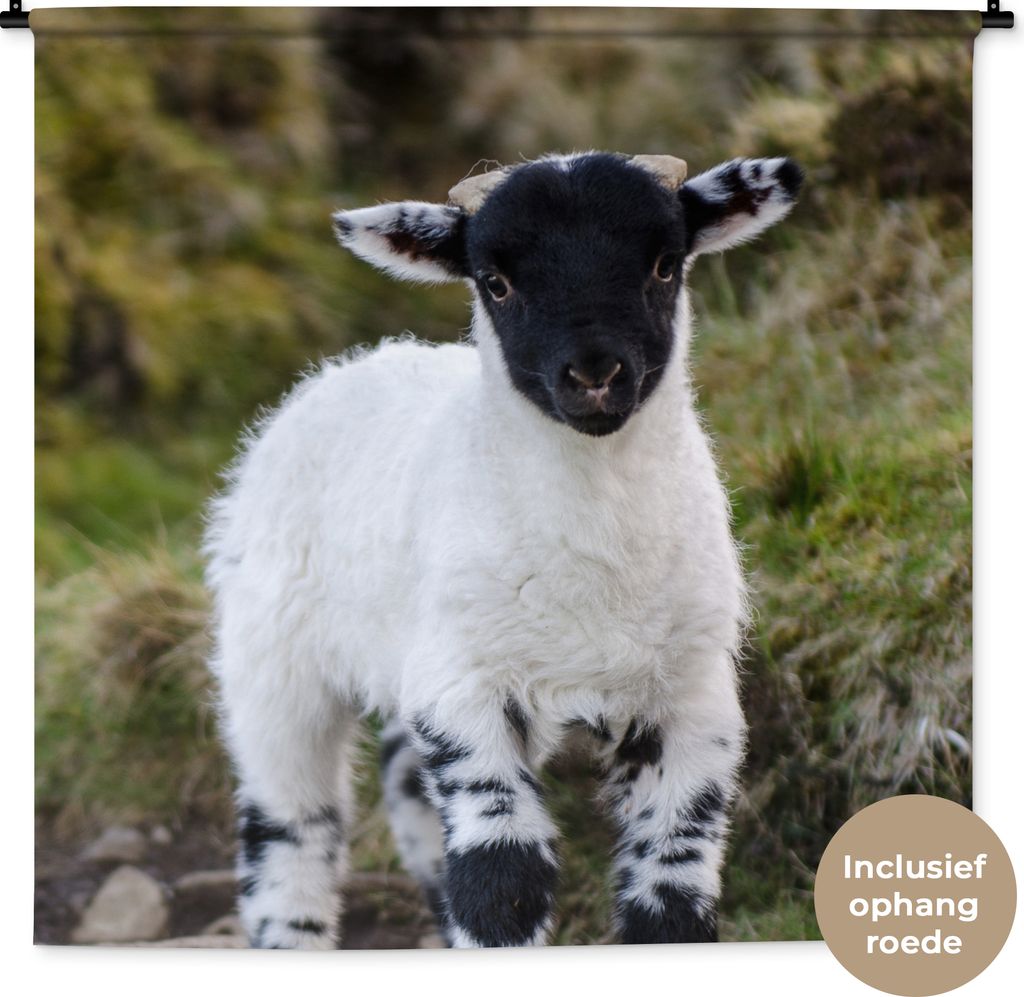 MuchoWow Wandteppich Wandbehang Lamm - Schwarz - Weiß - Tupfen 150x150 cm Tapisserie Dekoration Wandtuch - Wohnaccessoires - Modernes
