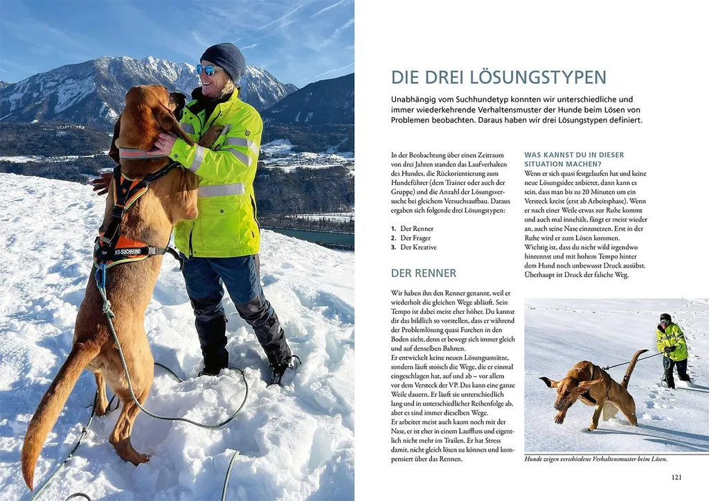 Comment Progresser en Mantrailing : Guide de Travail et d'Analyse - 6