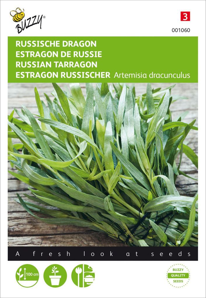 Artikelbild 2 von 'Estragon Russischer' aus der Kategorie Estragonsamen